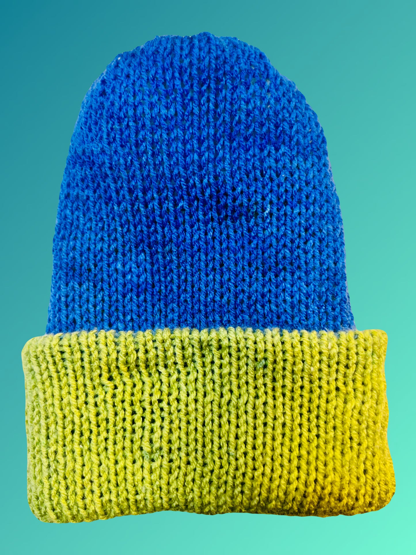 Everglades Reversible Knit Beanie