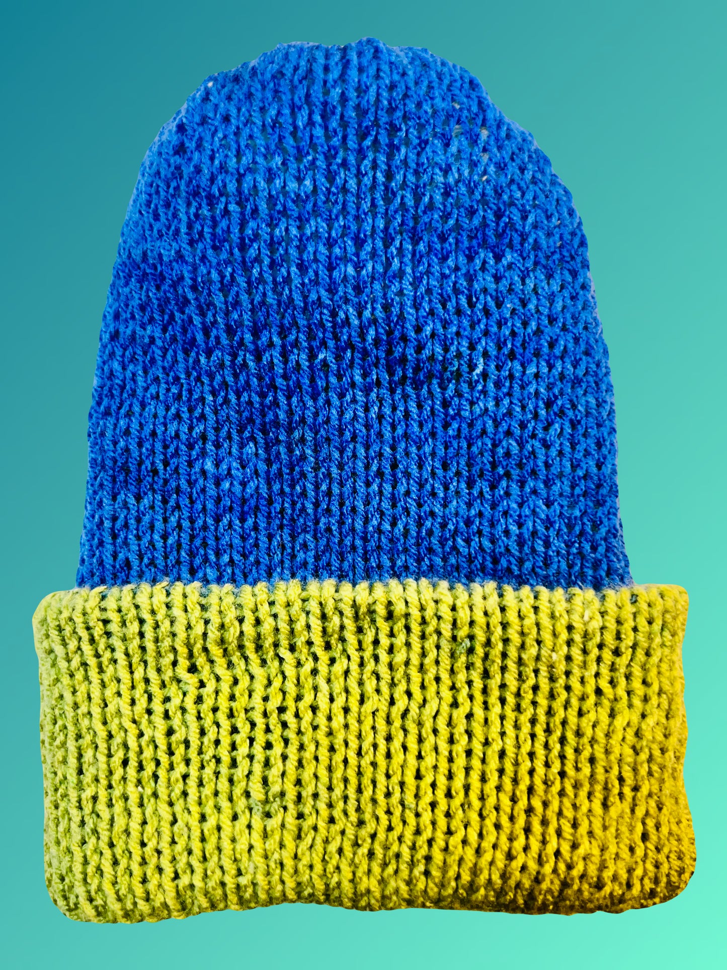 Everglades Reversible Knit Beanie