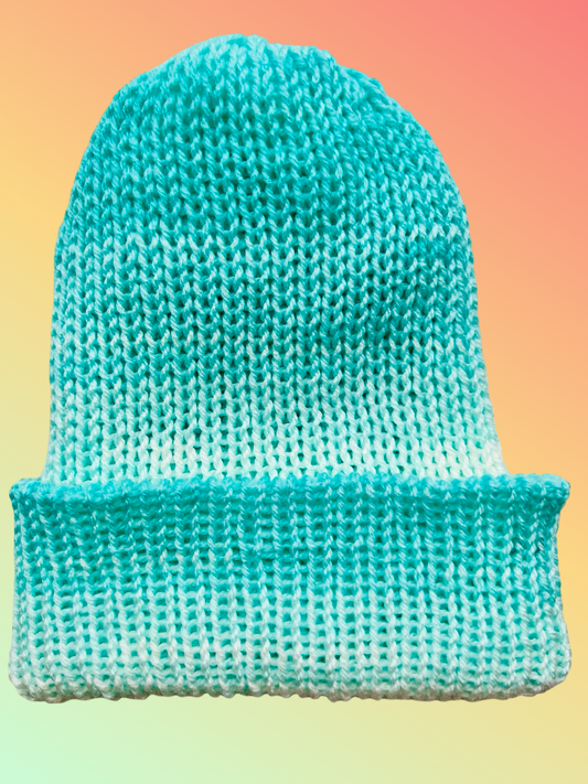 Mint Reversible Knit Beanie